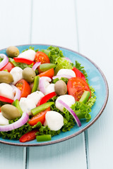 Vegetable salad with cheese mozzarella, tomatoes, basilikum and spice.