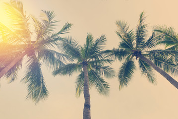 Coconut palm trees in tropical beach Thailand