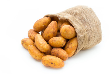 A bio russet potato isolated white background.