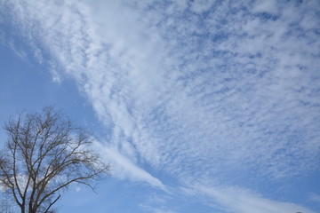 Fototapeta premium Облака