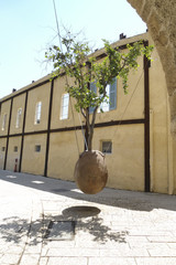 small tree in a large ovoid clay capsule suspended; facade wall of a house (sculpture); contemporary street arts, Jaffa's Old City, Israel