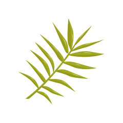 Flat vector icon of thin stalk with small leaves. Bright green tropical plant. Botanical theme. Element for flyer or banner
