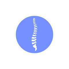 Vector human spine  illustration