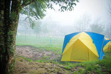 Camping tent in campground at national park