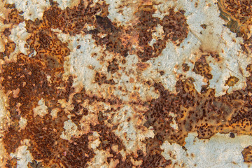 Rust texture as metal plate background