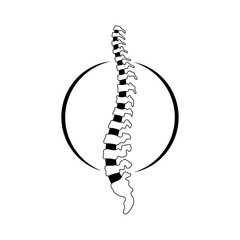 Vector human spine illustration