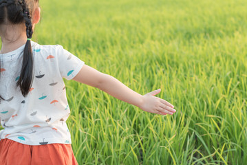 open arms little happy girl green meadow rice field