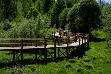 Fototapeta na wymiar wooden boardwalk in green meadow area