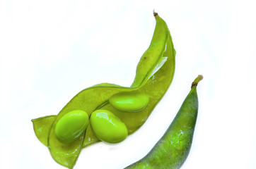 soybean isolate on white background