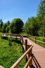 wooden boardwalk in green meadow area