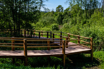 Fototapeta na wymiar wooden boardwalk in green meadow area