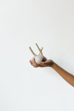 hand holding out garlic in front of white wall