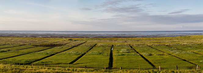 Salzwiesen und Wattenmeer auf der Nordseeinsel Juist in Nordfriesland, Deutschland, Europa am...