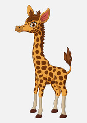 Obraz premium Cute giraffe cartoon isolated on white background 