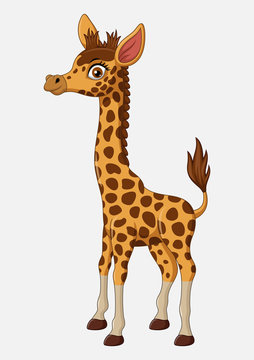 Cute giraffe cartoon isolated on white background
