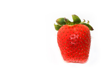 One single fresh and natural red strawberry of rectangular shape, with green leaves, isolated on a seamless white background with large empty space.