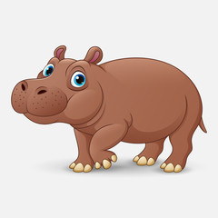 Cute hippo cartoon isolated on white background