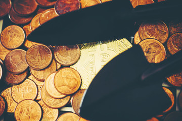 Bitcoins growth and new virtual money concepts