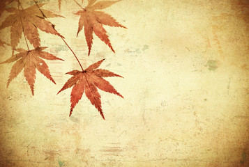 grunge background with autumn leaves