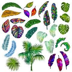 set of tropical leaves