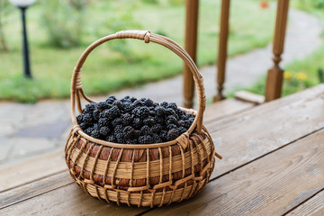 Fototapeta na wymiar A basket with fresh organic blackberries outdoors.