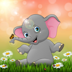 Cute baby elephant sitting on grass background