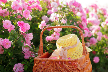 Fototapeta na wymiar Basket with flower from pink oil roses.