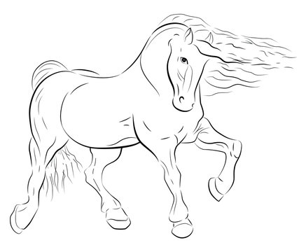horse with waving mane