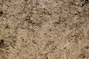 close up view of cut of soil