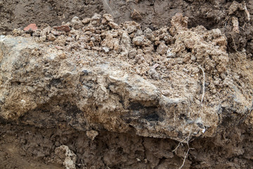 close up view of cut of soil with black stone