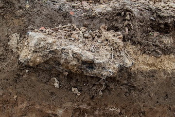 close up view of cut of soil with black stone
