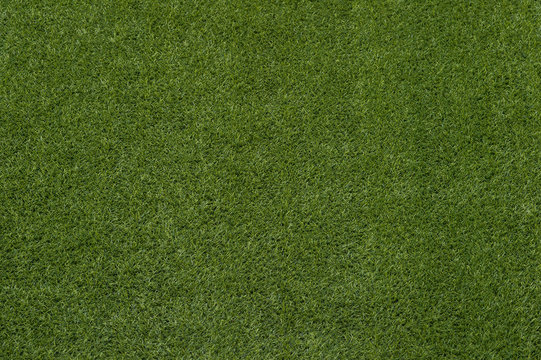 green grass turf floor texture background © Augustas Cetkauskas