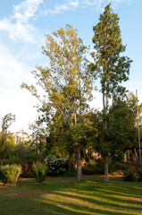 Rafalafena Park in Castellon, Spain.