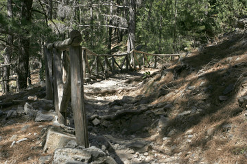 The trekking path with the wooden fence on the slope in the mountain pine forest on the sunny day on Crete island.