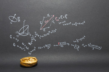 Fototapeta na wymiar Concept of the phrase physics in a nutshell. Physics formulas drawn on black paper with walnuts