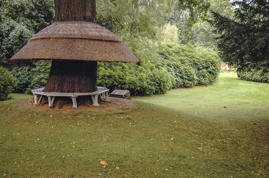 Swiss Garden in Old Warden Park located in Biggleswade on the River Ivel in Bedfordshire, England
