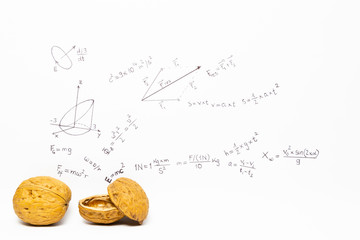 Concept of the phrase physics in a nutshell. Physics formulas drawn on white paper with walnuts