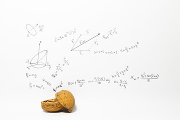Concept of the phrase physics in a nutshell. Physics formulas drawn on white paper with walnuts