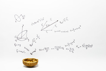 Concept of the phrase physics in a nutshell. Physics formulas drawn on white paper with walnuts