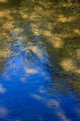 Fototapeta na wymiar Gold and Blue River Water Pattern