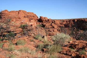 Fototapeta premium Kings Canyon, Watarrka national park, northern territory, australia