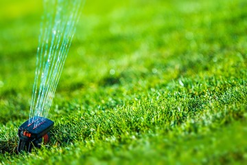 Garden Grass Sprinkler