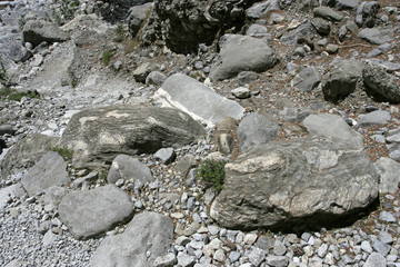 The gray stones of different sizes and the small path on the bottom of the gorge on the sunny day