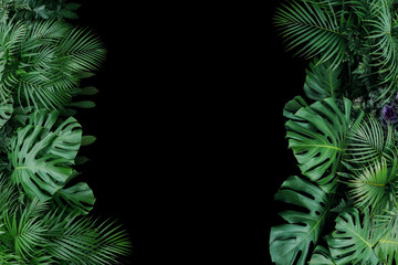 Monstera, fern, and palm leaves tropical foliage plant bush nature frame on black background.