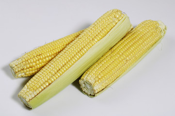 corn ear group on white background