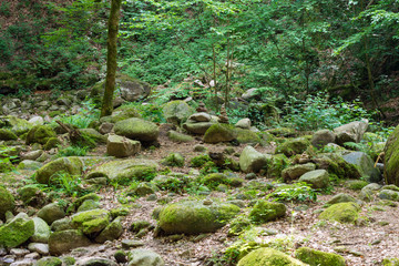 Geroldsau, Wasserfall, Bach