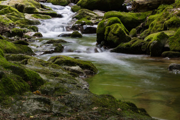 Obraz premium Geroldsau, Wasserfall, Bach