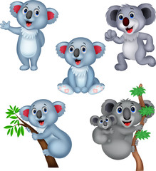 Cartoon koala collection set