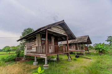 Rice Field and House , home stay