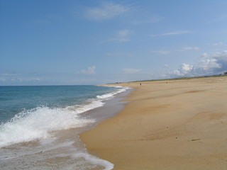 Hossegor - Aquitaine - France